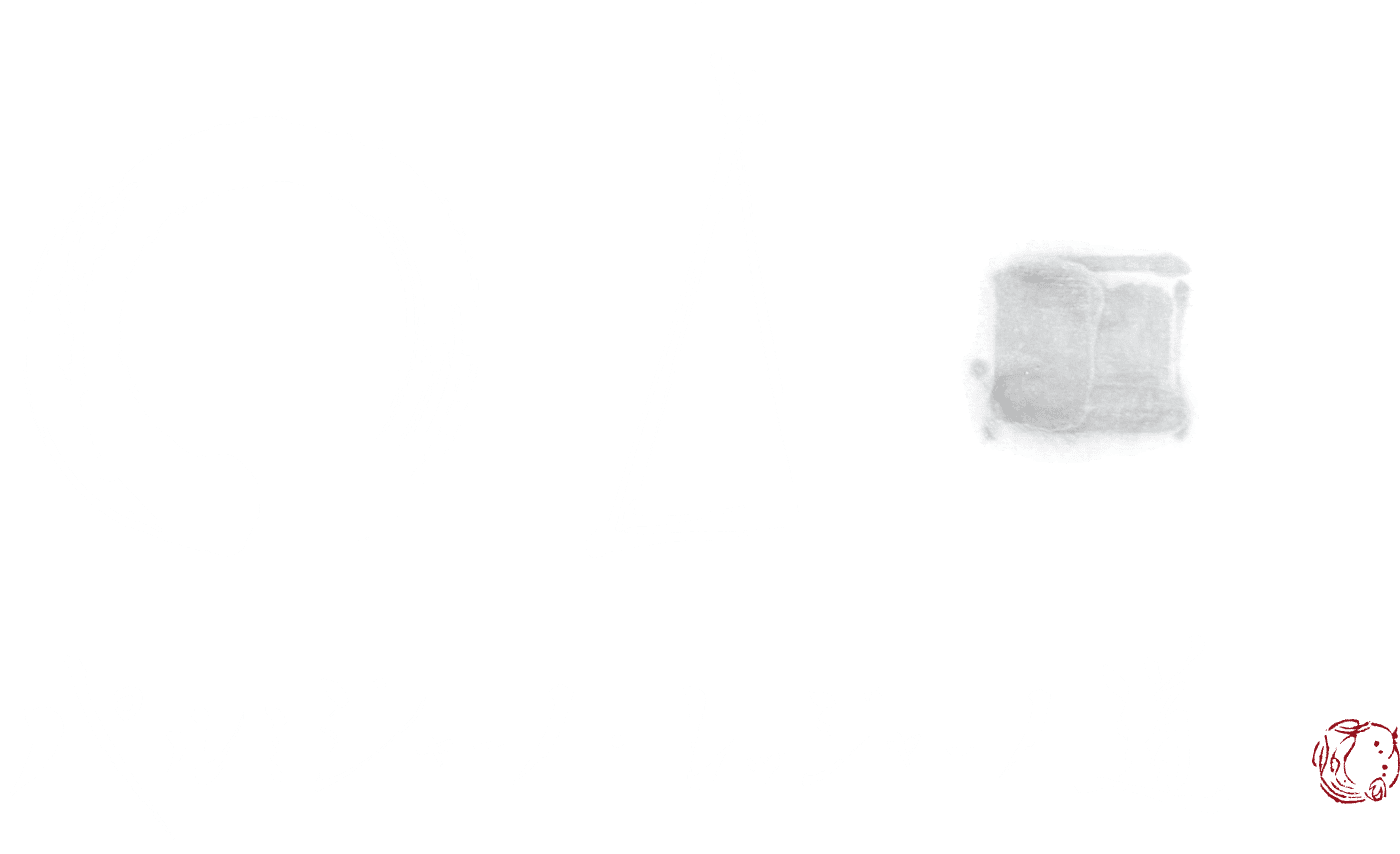 パルミジャーノ レッジャーノ道